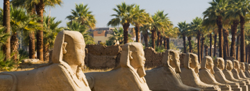 Click to learn more about the Egypt trip