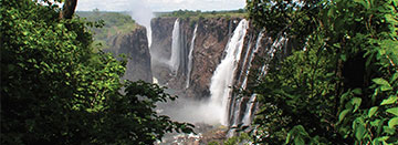 Click to learn more about the South Africa trip