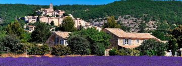 Click to learn more about the 2022 Discovering Provence trip